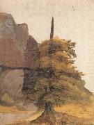 Albrecht Durer, A Tree in a Quarry